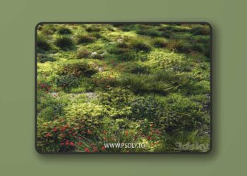 Grass set 1 3D Model