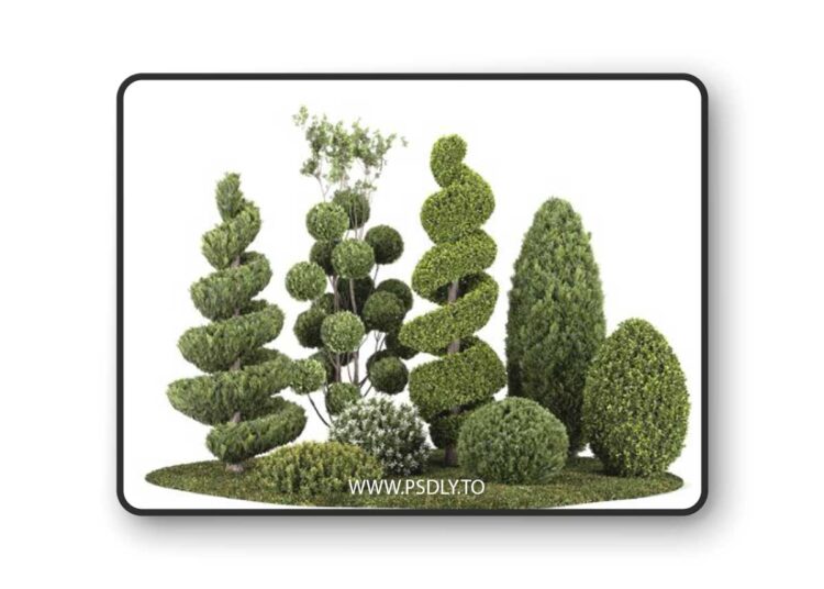 Group outdoor plants & Hedges