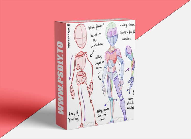 How to Learn Anatomy by Mitch Leeuwe