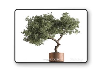 Indoor Plant 573 -Tree in Pot 3D Model
