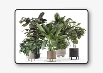 Indoor-Plants-in-Ferm-Living-Bau-Pot-Large---Set-734