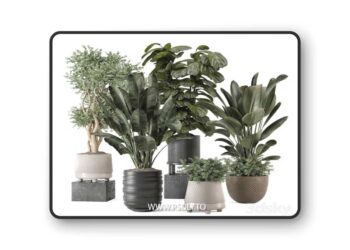 Indoor Plants in rusty Concrete Pot - Set 1291