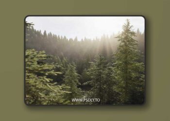 Nanite Trees Vol.1 3D Model
