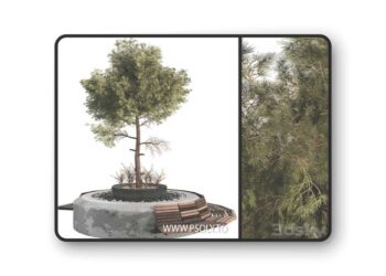 Outdoor Plant Set 06 3D Model