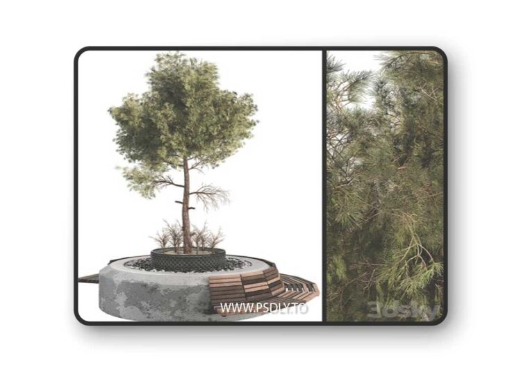 Outdoor Plant Set 06 3D Model