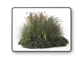 Outdoor Plants Bush-Bush Set 1644 3D Model