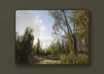 PCG Biome – Forest Poplar