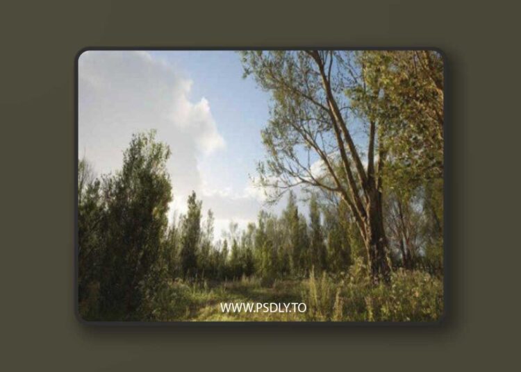 PCG Biome – Forest Poplar