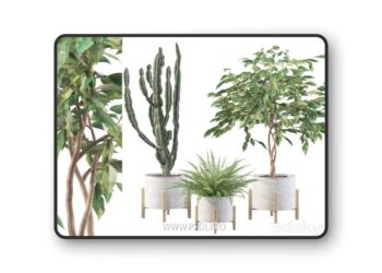 Plants collection 095 3D Model