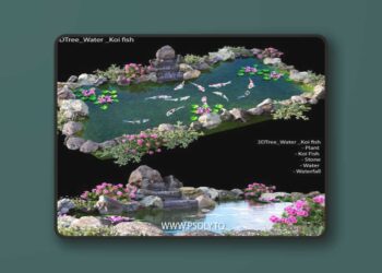 Water - Koi fish 02 3D Model