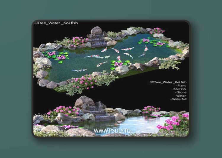 Water - Koi fish 02 3D Model