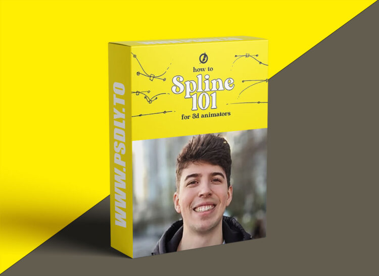 Animawarriors - How to Spline 101