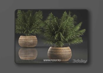 Beautiful decorative small lush bush palm tree in a basket. 827