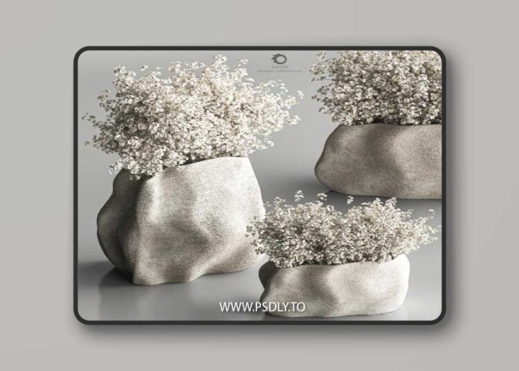 Bouquet collection set 012 3D Model