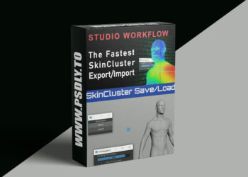 CGCircuit - The Fastest SkinCluster Export/Import [Maya]