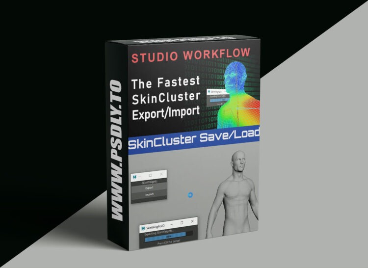 CGCircuit - The Fastest SkinCluster Export/Import [Maya]