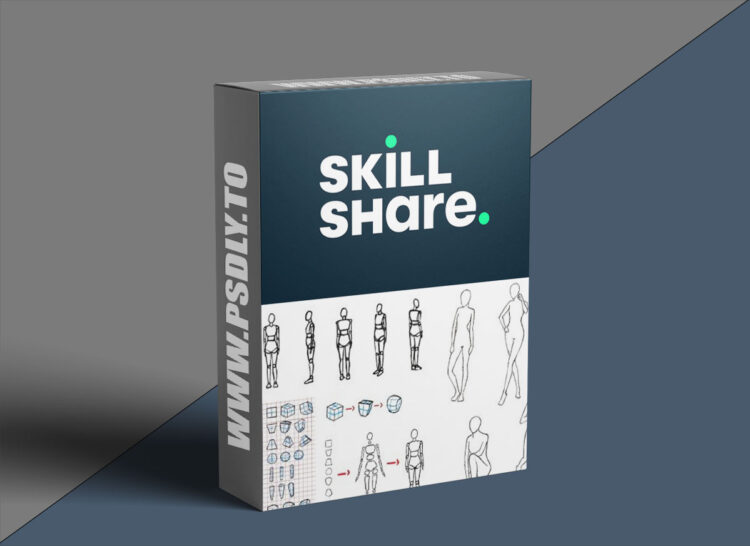 Drawing For Complete Beginners - Anatomy Made Easy