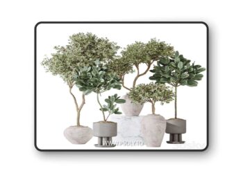 Elastica Abidjan Melany and Mission Olive Tree Vase 18