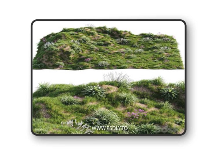 Grass on the slope 3D Model