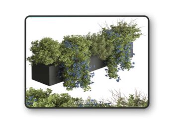 Hanging Plant - Outdoor Plants 503