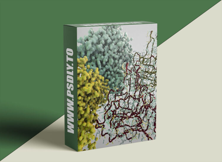 Houdini.School – HS-227 - Visualizing Protein Data Bank Information with Kate Xagoraris