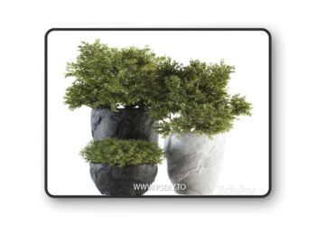 Outdoor Plants tree in Rock Pot - Set 136