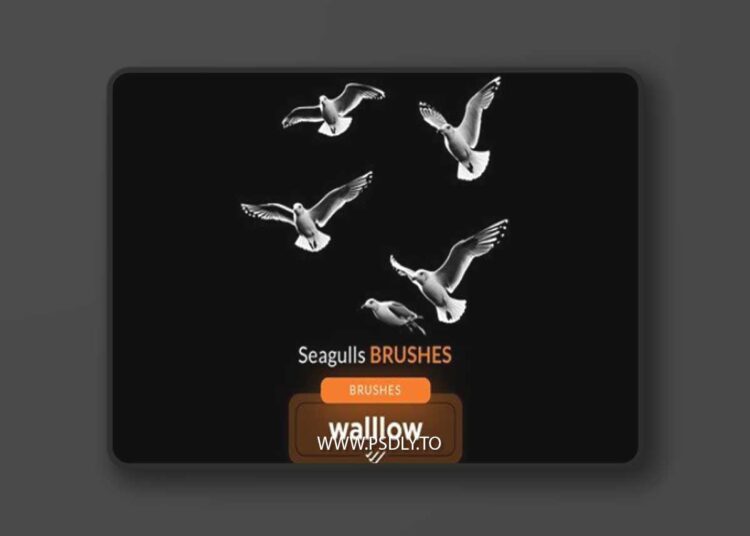 Seagull photoshop brushes for photo editing DWN7M92