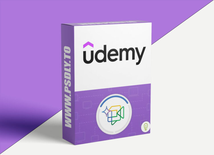 Udemy - Google Gemini in Chat and Meet