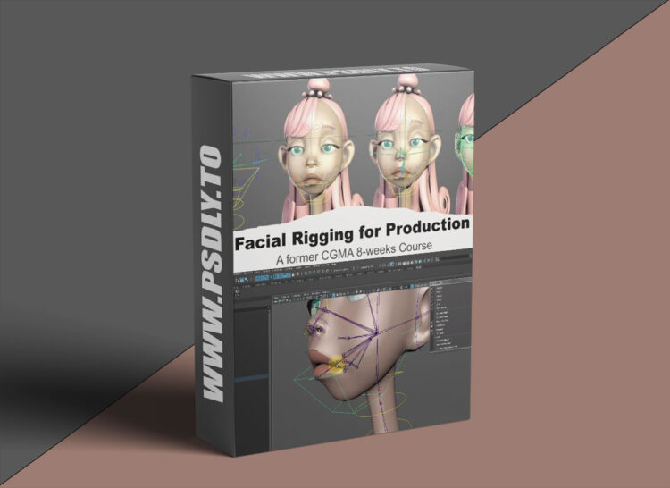 FlippedNormals Character Facial Rigging for Production - A former CGMA 8-weeks course