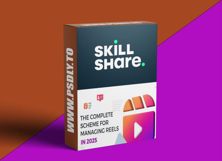 The Complete Scheme for Managing Reels in 2025