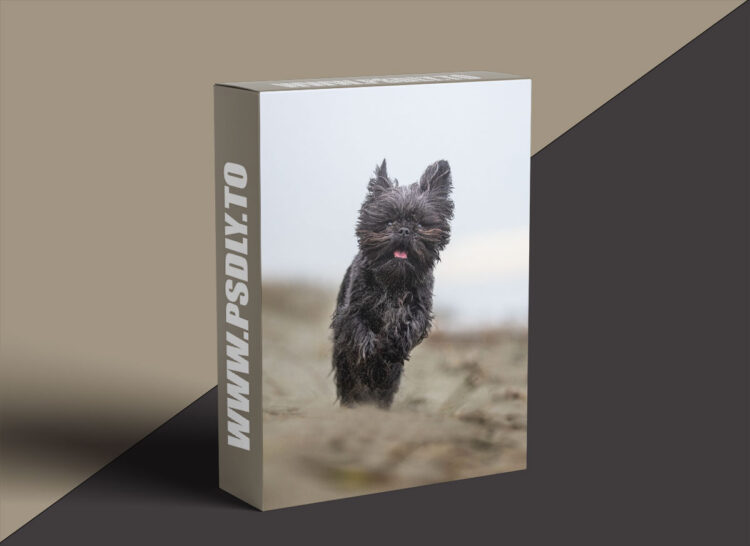 Unleashed Education - 5 Mistakes Pet Photographers are Making and How Not to Make Them
