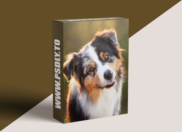 Unleashed Education - Simplifying Manual Exposure for Pet Photographers