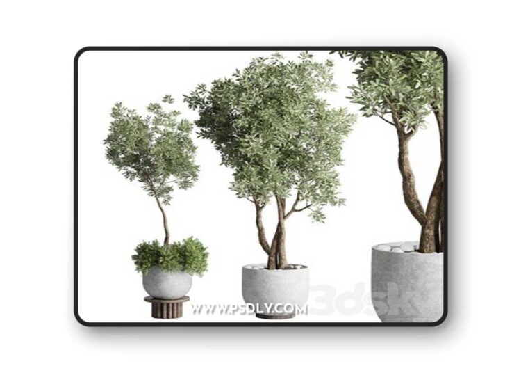 Collection Outdoor Indoor plant 52 concrete dirt vase pot tree