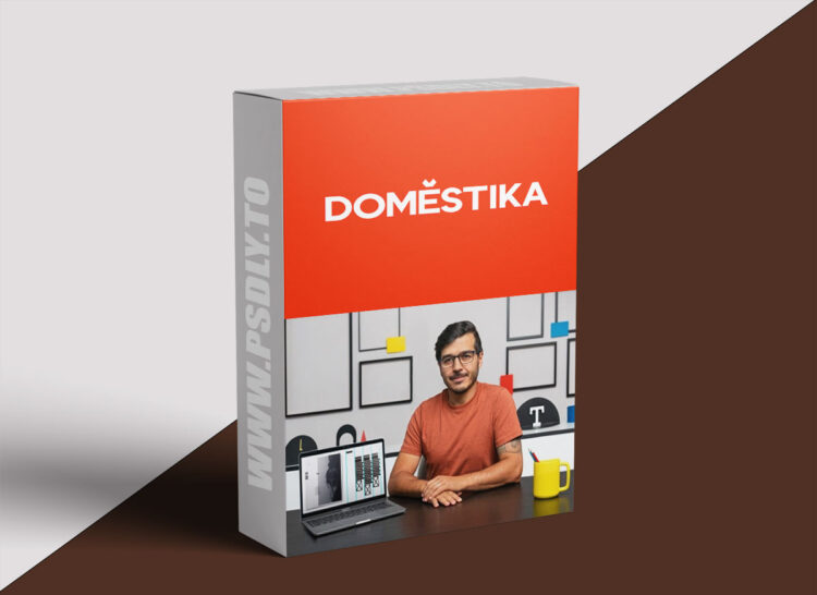 Domestika - Compositional Techniques for Graphic Design