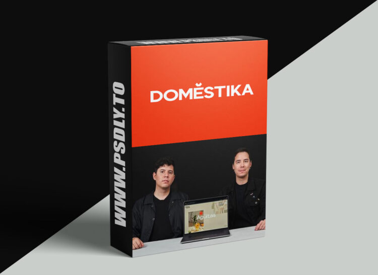 Domestika - Creating Innovative Web Designs