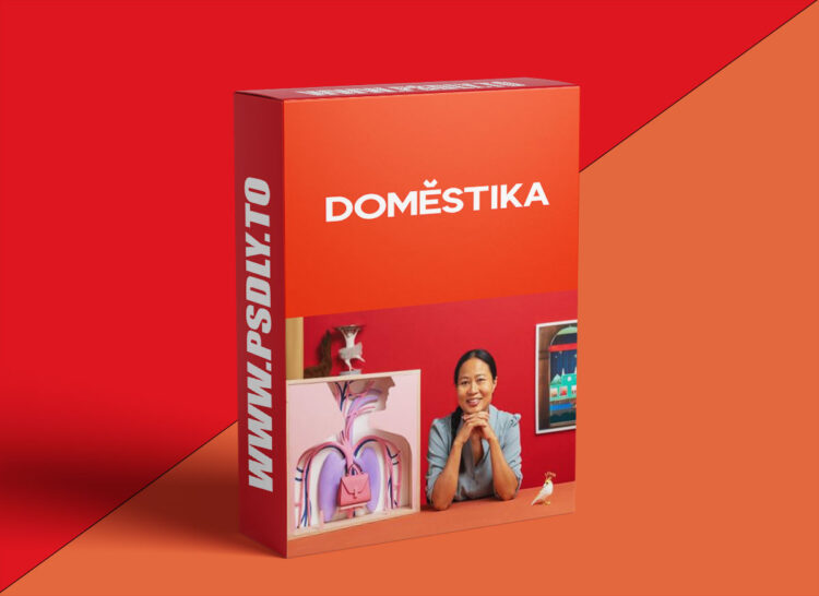 Domestika - Window Display Design