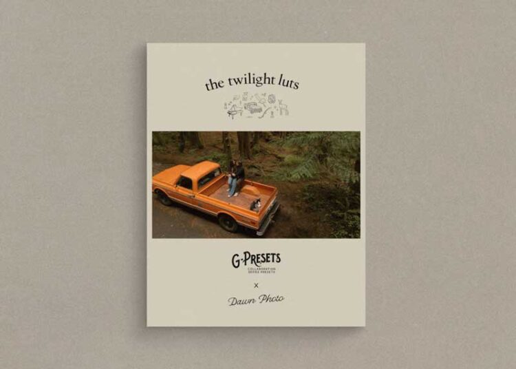 Gpresets - The Twilight LUTs