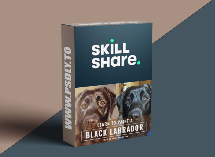 Learn To Paint A Black Labrador in Acrylic Paint : Step by Step Guide To Painting Black Fur