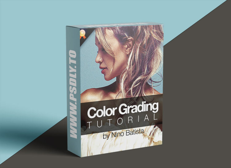 PhotoWhoa - Masterclass: Color Grading Tutorial for Photoshop By Nino Batista