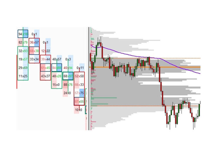 Price Action Volume Trader – Day Trading With Volume Profile & Orderflow