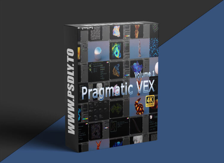 SideFX - Pragmatic VEX Volume 1