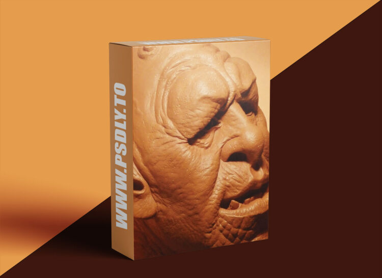 The Gnomon Workshop - Sculpture 3