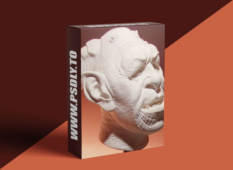 The Gnomon Workshop - Sculpture 4
