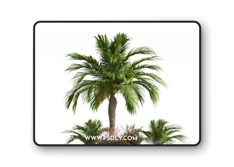 3dsky Pro - Garden set californication 3D Model