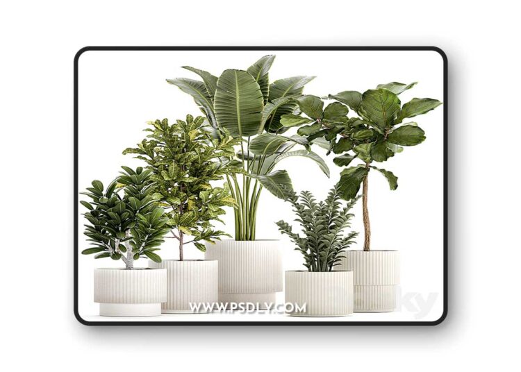 3dsky Pro - Plant collection 1407 3D Model