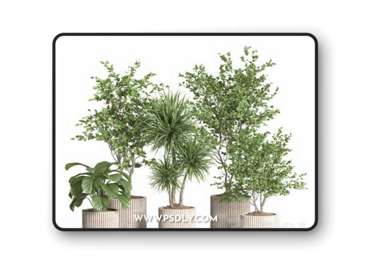 3dsky Pro - indoor plant set 59-Concrete pot