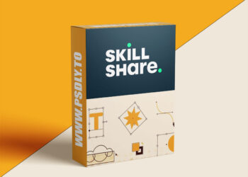 Adobe Illustrator Essentials: Beginner’s Guide to Illustration