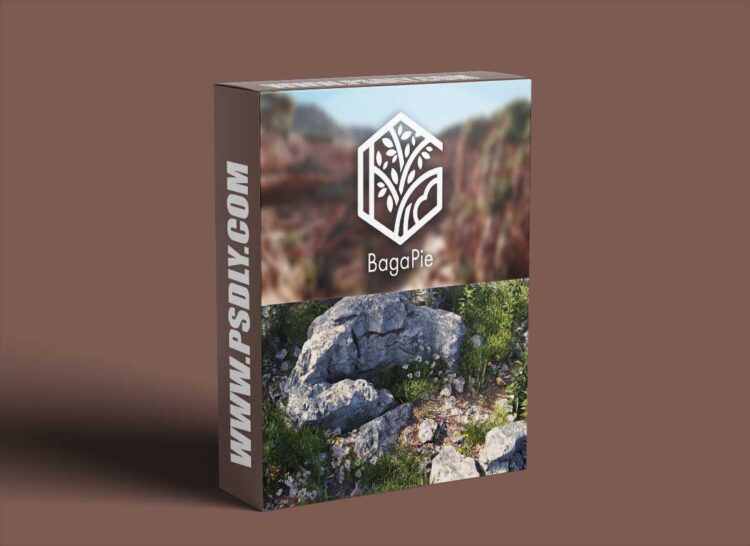 Blender Market - BagaPie v10.4.14 + Assets Full