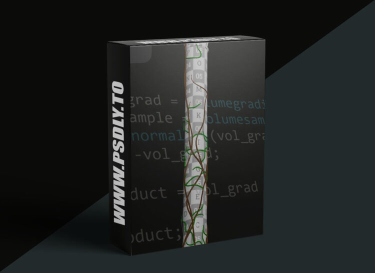 Cgside - Vex Problem Solving in Houdini