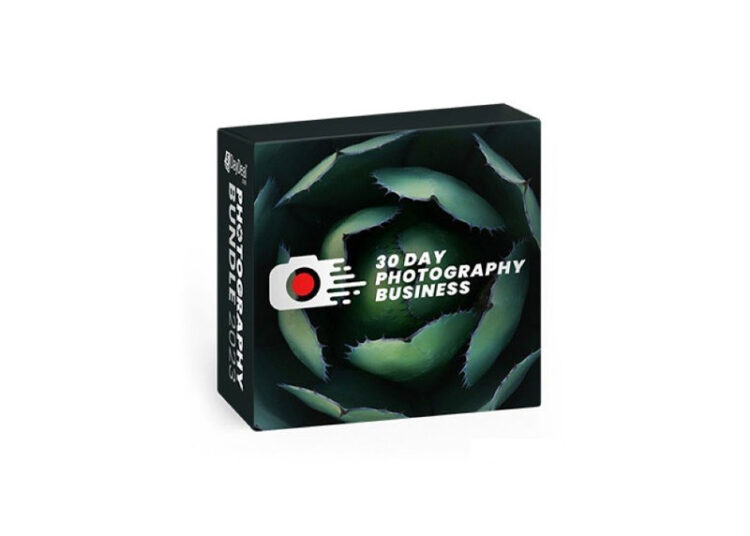 David Johnston - 30 Day Photography Business: Create and Grow